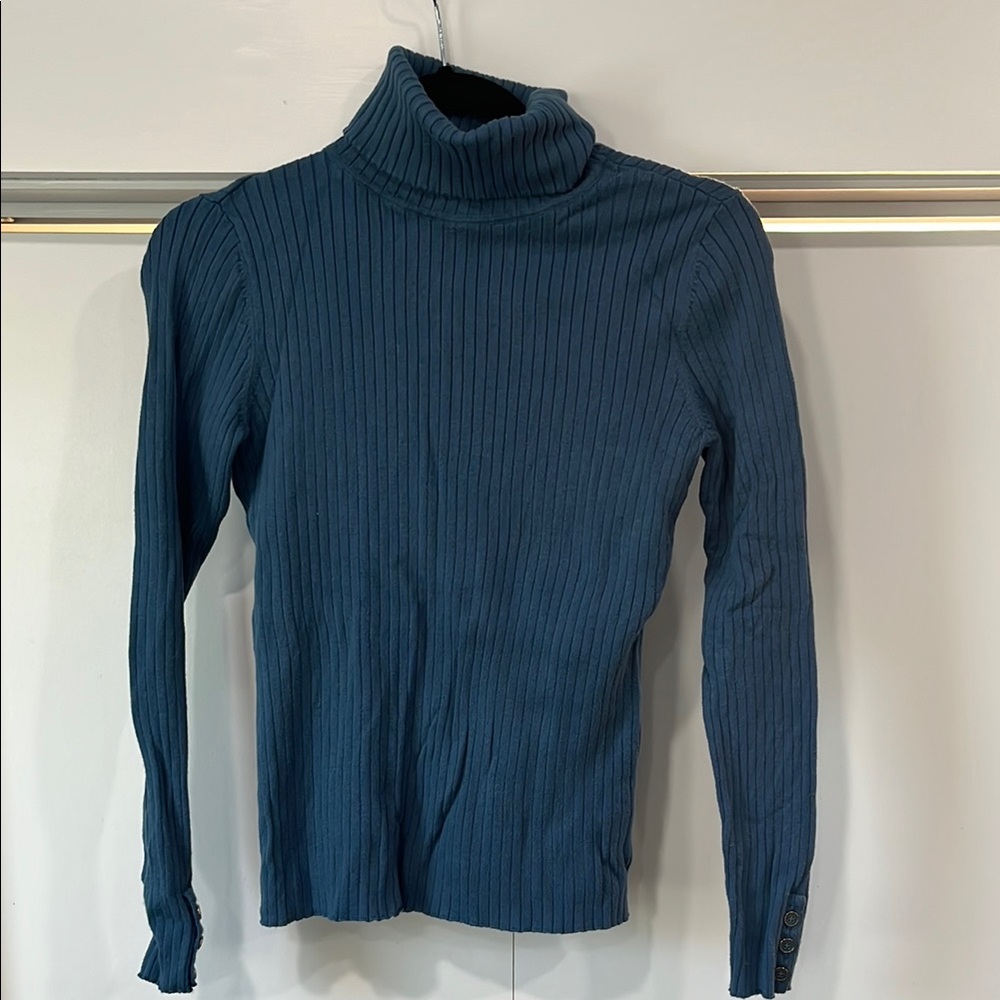 Ribbed Turtleneck Sweater in Blue